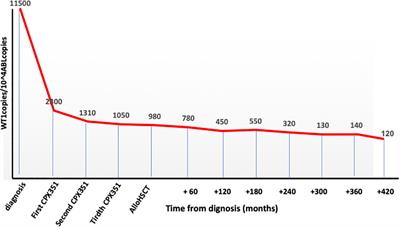 CPX-351 and allogeneic stem cell transplant for a therapy-related acute myeloid leukemia that developed after treatment of acute promyelocytic leukemia: a case report and review of the literature
